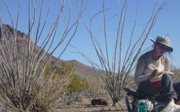 gap year wilderness program